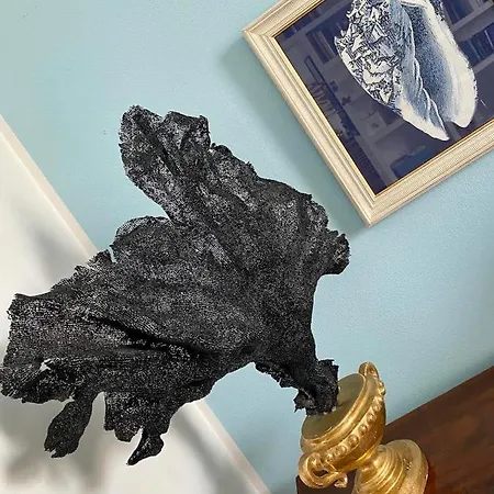 Le Stanze Sul Mare Портоферрайо