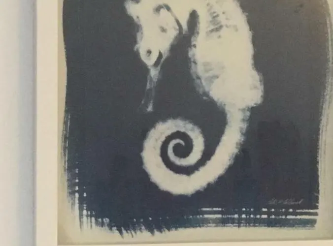 Gæstehus Le Stanze Sul Mare 3*